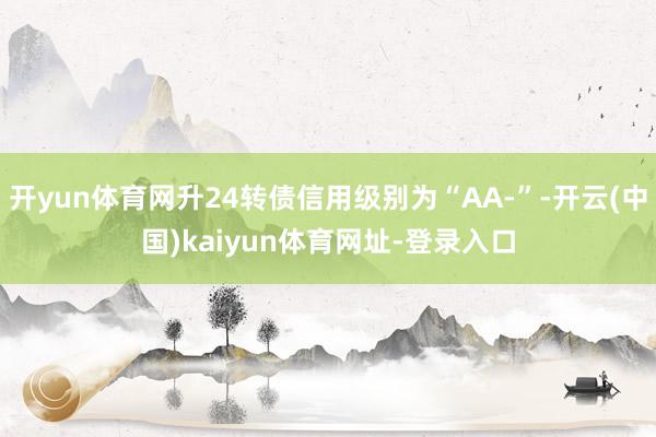 开yun体育网升24转债信用级别为“AA-”-开云(中国)kaiyun体育网址-登录入口