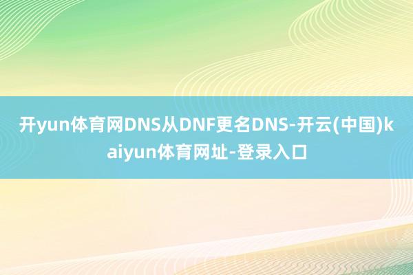 开yun体育网DNS从DNF更名DNS-开云(中国)kaiyun体育网址-登录入口