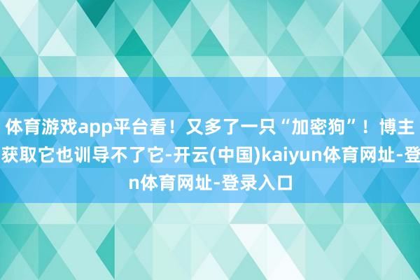 体育游戏app平台看！又多了一只“加密狗”！博主：你们获取它也训导不了它-开云(中国)kaiyun体育网址-登录入口