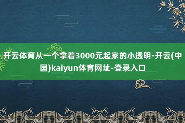 开云体育从一个拿着3000元起家的小透明-开云(中国)kaiyun体育网址-登录入口
