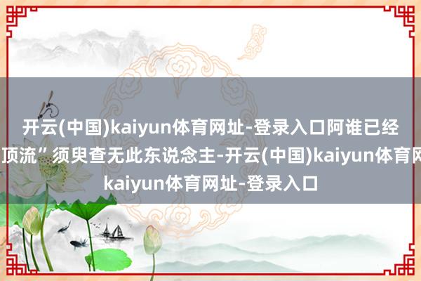 开云(中国)kaiyun体育网址-登录入口阿谁已经无出其右的