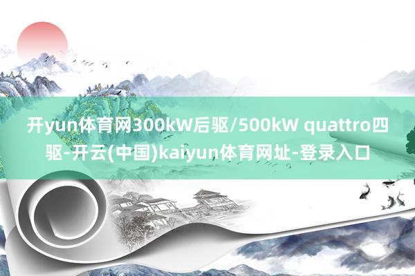 开yun体育网300kW后驱/500kW quattro四驱
