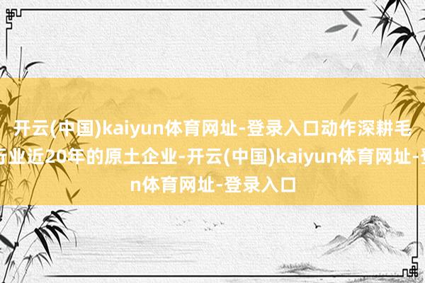 开云(中国)kaiyun体育网址-登录入口动作深耕毛绒玩物行