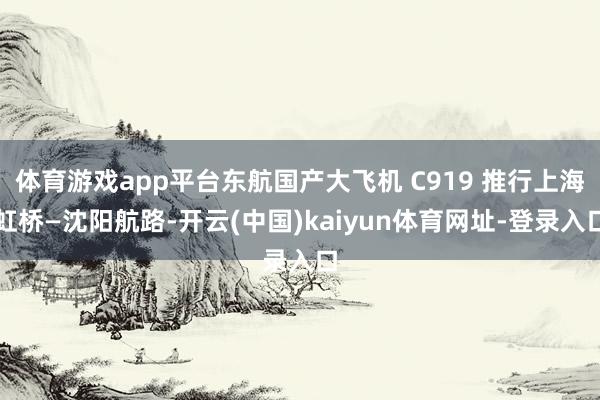 体育游戏app平台东航国产大飞机 C919 推行上海虹桥—沈