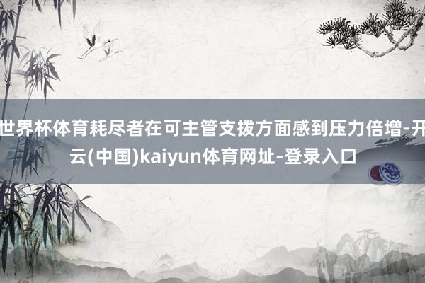 世界杯体育耗尽者在可主管支拨方面感到压力倍增-开云(中国)k