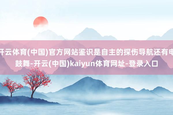 开云体育(中国)官方网站鉴识是自主的探伤导航还有电鼓舞-开云