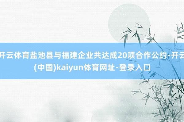 开云体育盐池县与福建企业共达成20项合作公约-开云(中国)k