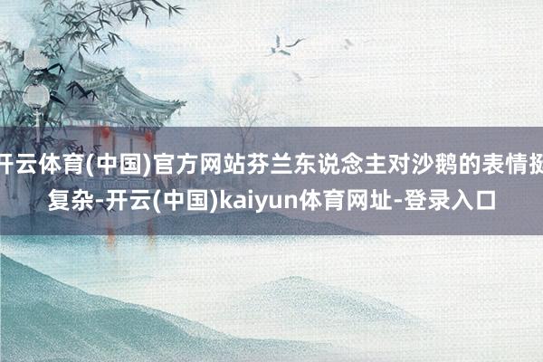 开云体育(中国)官方网站芬兰东说念主对沙鹅的表情挺复杂-开云(中国)kaiyun体育网址-登录入口