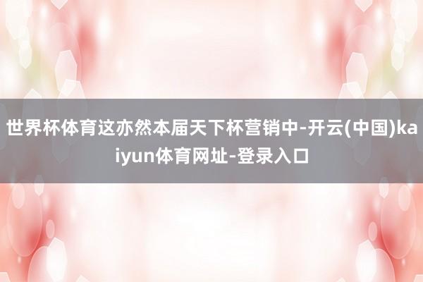世界杯体育这亦然本届天下杯营销中-开云(中国)kaiyun体