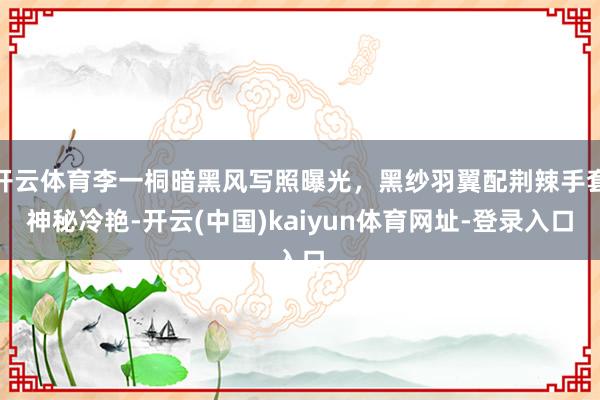 开云体育李一桐暗黑风写照曝光，黑纱羽翼配荆辣手套神秘冷艳-开