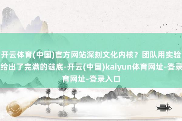开云体育(中国)官方网站深刻文化内核？团队用实验行径给出了完