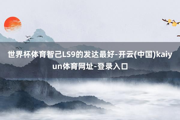 世界杯体育智己LS9的发达最好-开云(中国)kaiyun体育