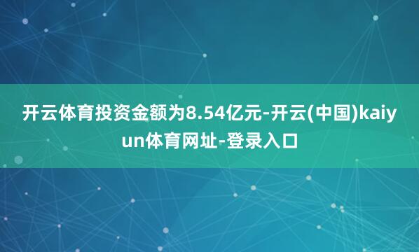 开云体育投资金额为8.54亿元-开云(中国)kaiyun体育