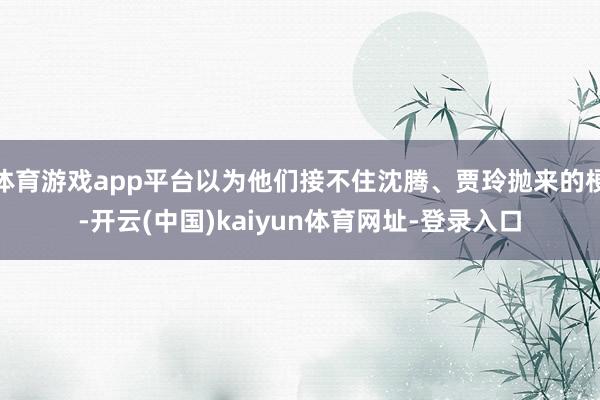 体育游戏app平台以为他们接不住沈腾、贾玲抛来的梗-开云(中