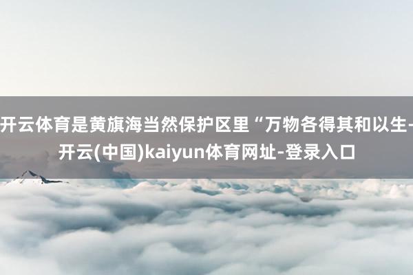 开云体育是黄旗海当然保护区里“万物各得其和以生-开云(中国)