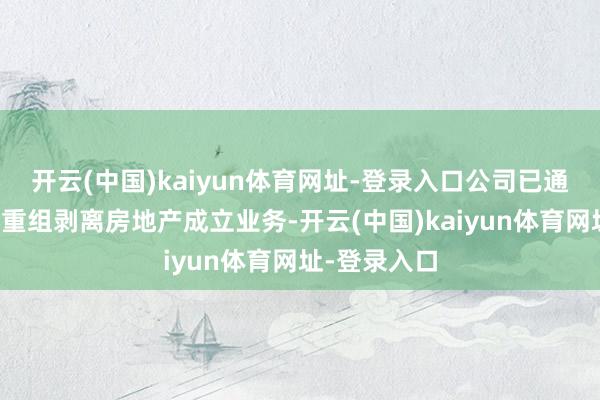 开云(中国)kaiyun体育网址-登录入口公司已通过要害财富